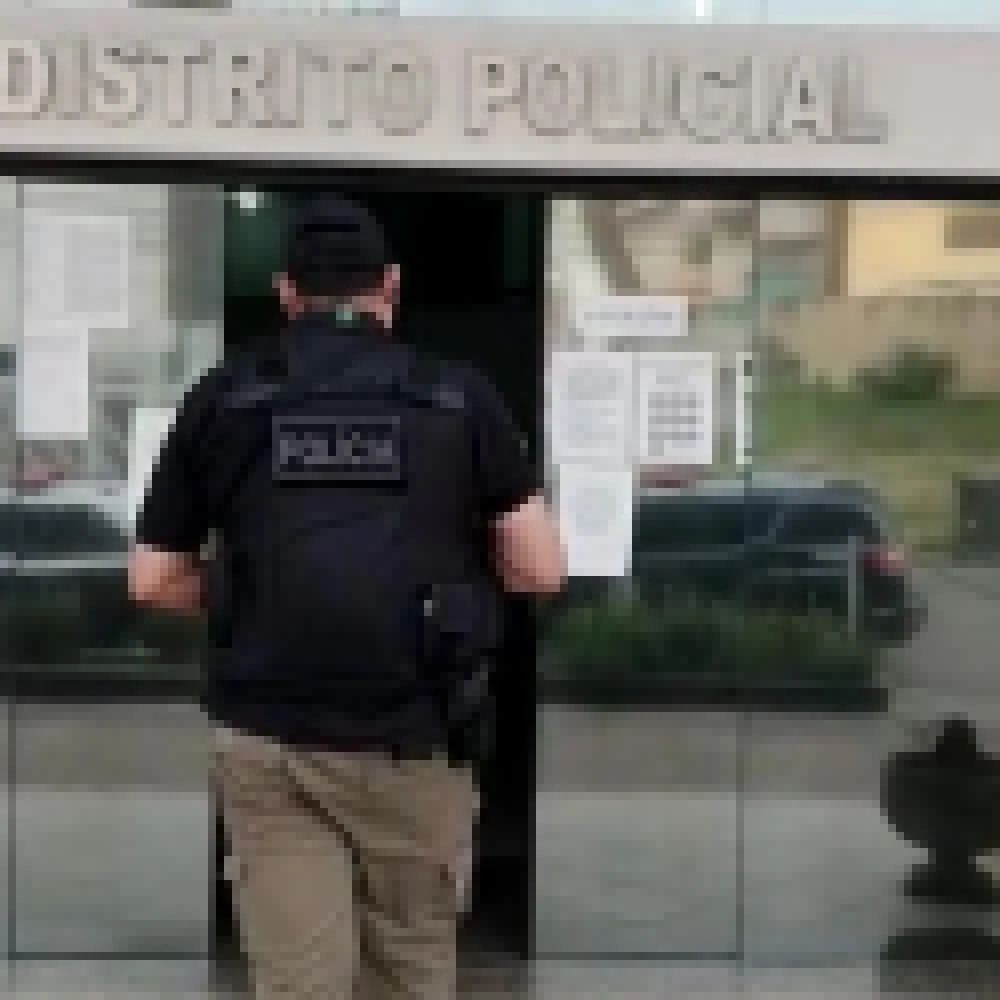 EstelionatÃ¡rio Ã© preso pela PolÃ­cia Civil apÃ³s dar golpe em compra falsa de caminhÃ£o pela internet