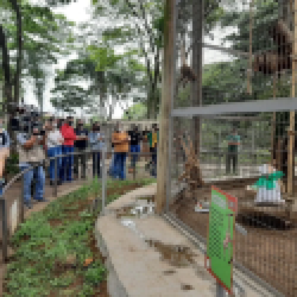 ZoolÃ³gico Municipal â€œQuinzinho de Barrosâ€� completa 53 anos com lanÃ§amento de App educativo e entrega de bolos e presentes aos animais