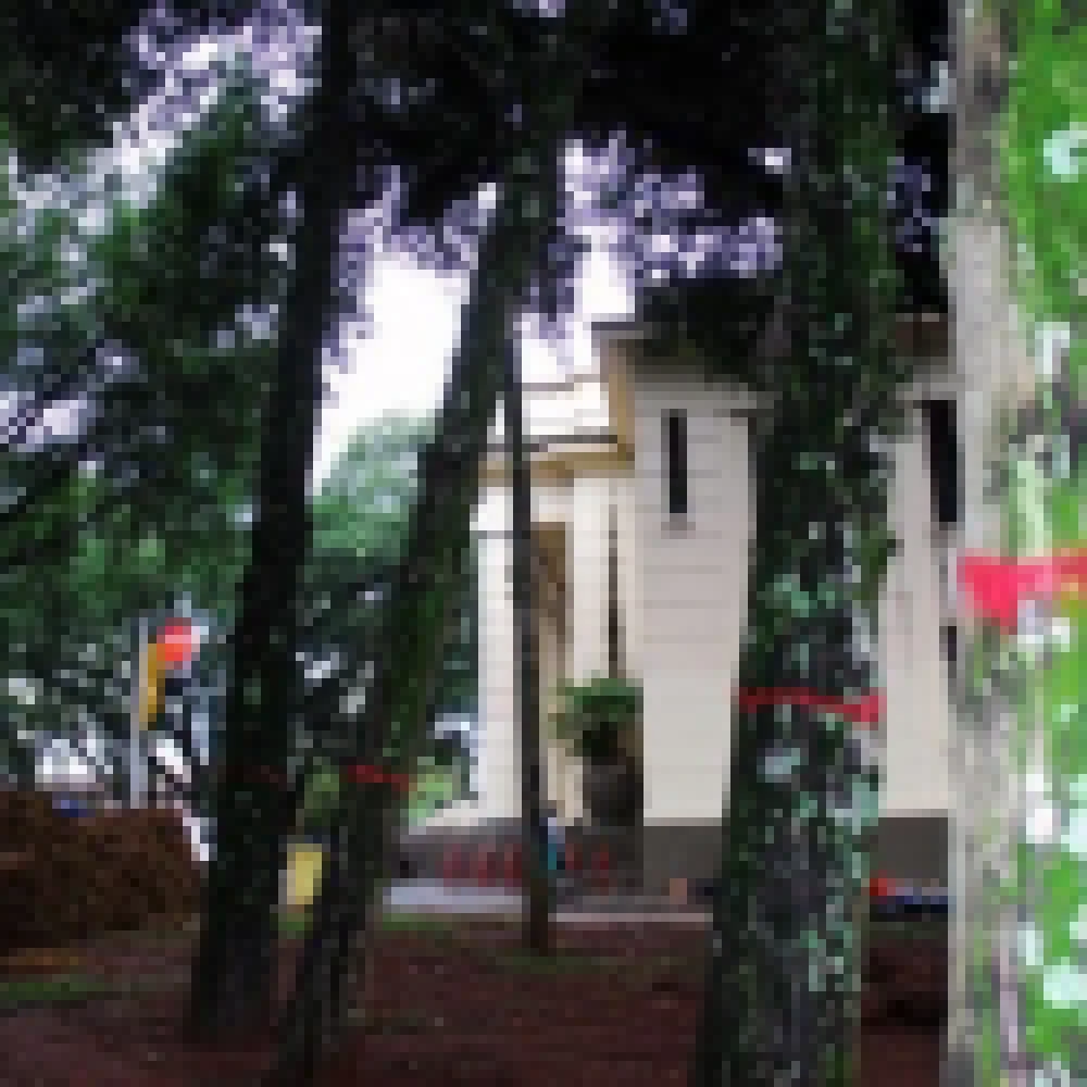 32 Ã�rvores serÃ£o retiradas da PraÃ§a Frei BaraÃºna