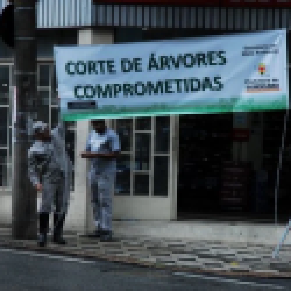 32 Ã�rvores serÃ£o retiradas da PraÃ§a Frei BaraÃºna