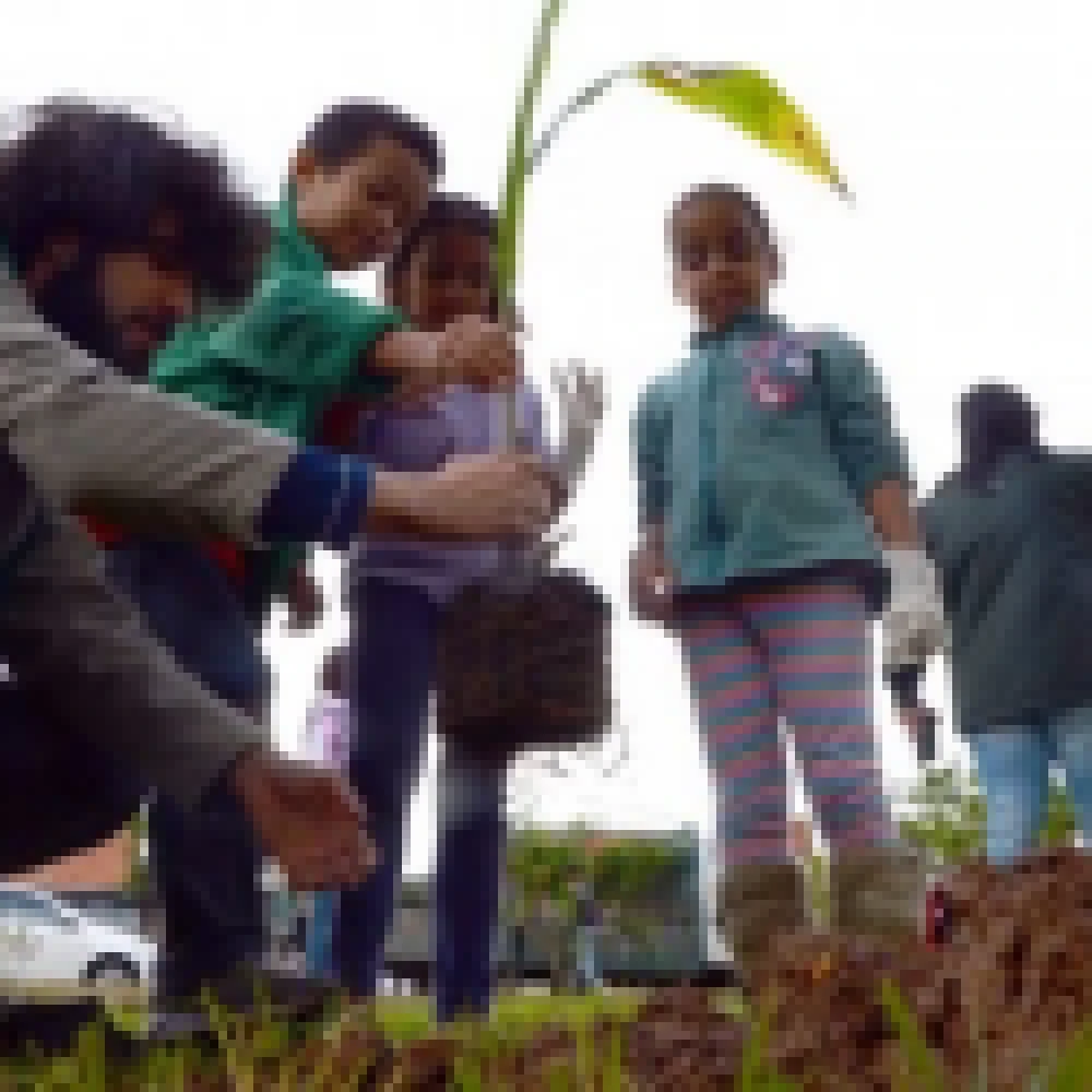 Nascente modelo do Parque Ouro Fino ganharÃ¡ 150 Ã¡rvores