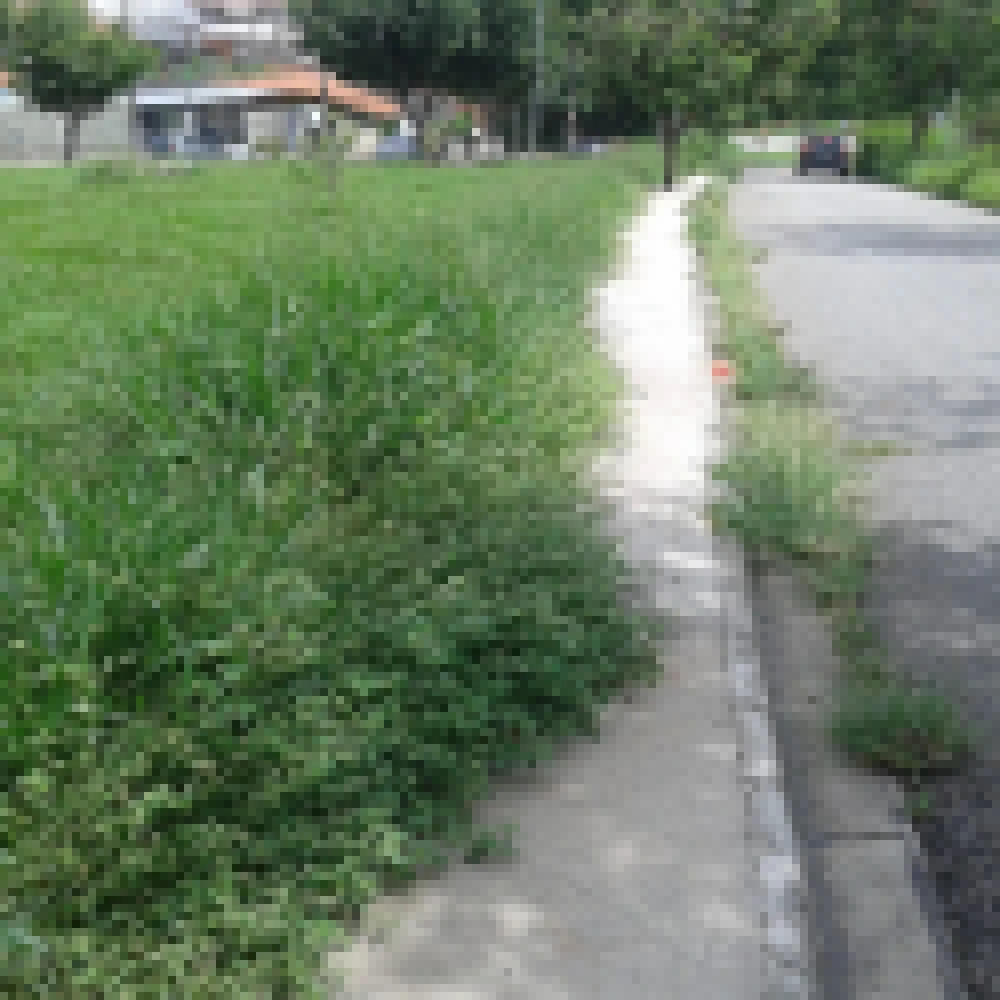 HÃ¡ trÃªs anos sem resposta da Prefeitura, morador resolve capinar mato das calÃ§adas por contra prÃ³pria na Zona Norte