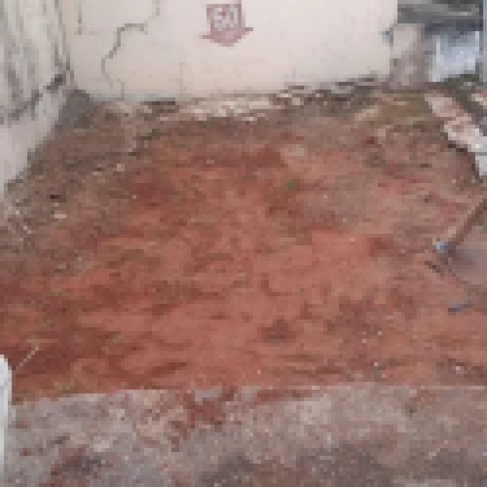 Prefeitura realiza MutirÃ£o da Limpeza nos CemitÃ©rios Municipais