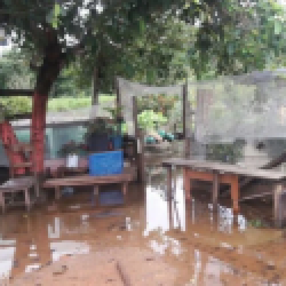 Chuva traz transtornos para moradores do Bairro VitÃ³ria RÃ©gia