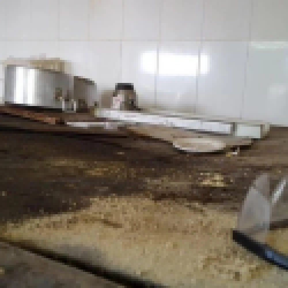 VigilÃ¢ncia SanitÃ¡ria interdita padaria por risco Ã  saÃºde pÃºblica
