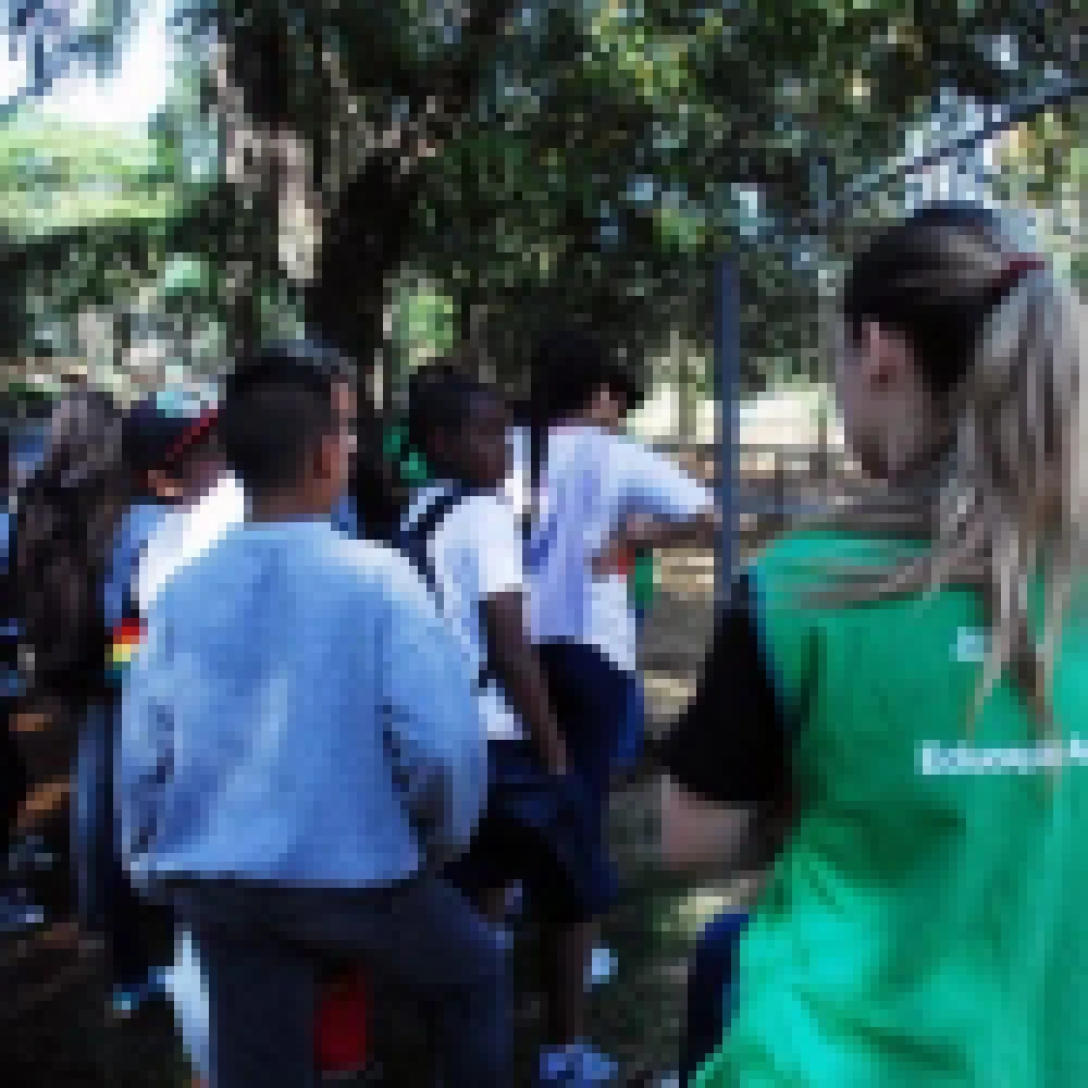 Campanha â€œMinha Amiga Ã© uma Antaâ€� foi lanÃ§ada no Zoo de Sorocaba