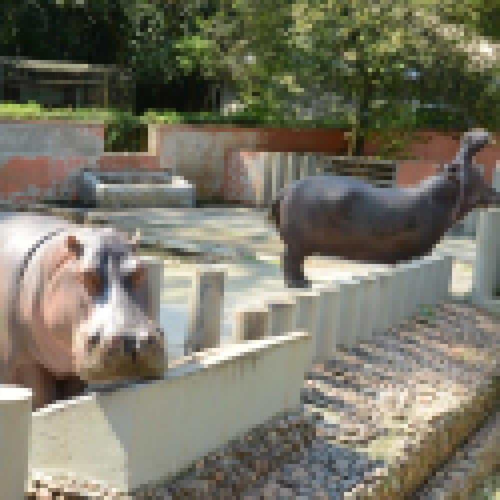 Zoo de Sorocaba tem entrada a R$ 4 neste fim de semana 3