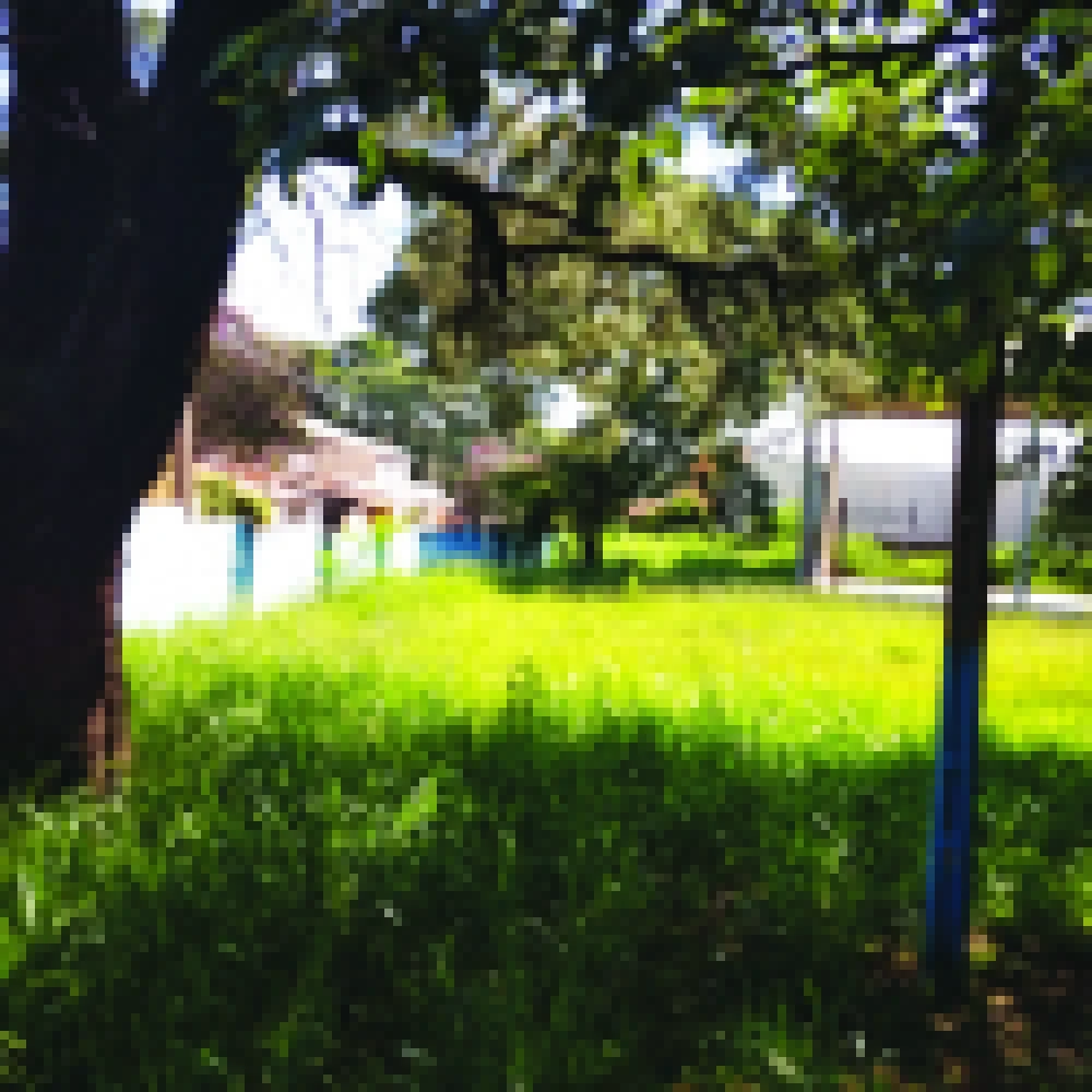 Escola fechada hÃ¡ mais de um ano gera reclamaÃ§Ãµes na Vila AngÃ©lica