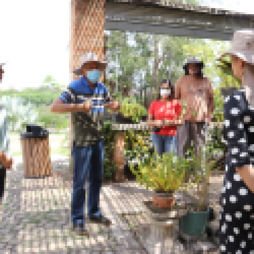 Jardim BotÃ¢nico â€œIrmÃ£os Villas-BÃ´asâ€� completa oito anos de existÃªncia nesta terÃ§a-feira (15)