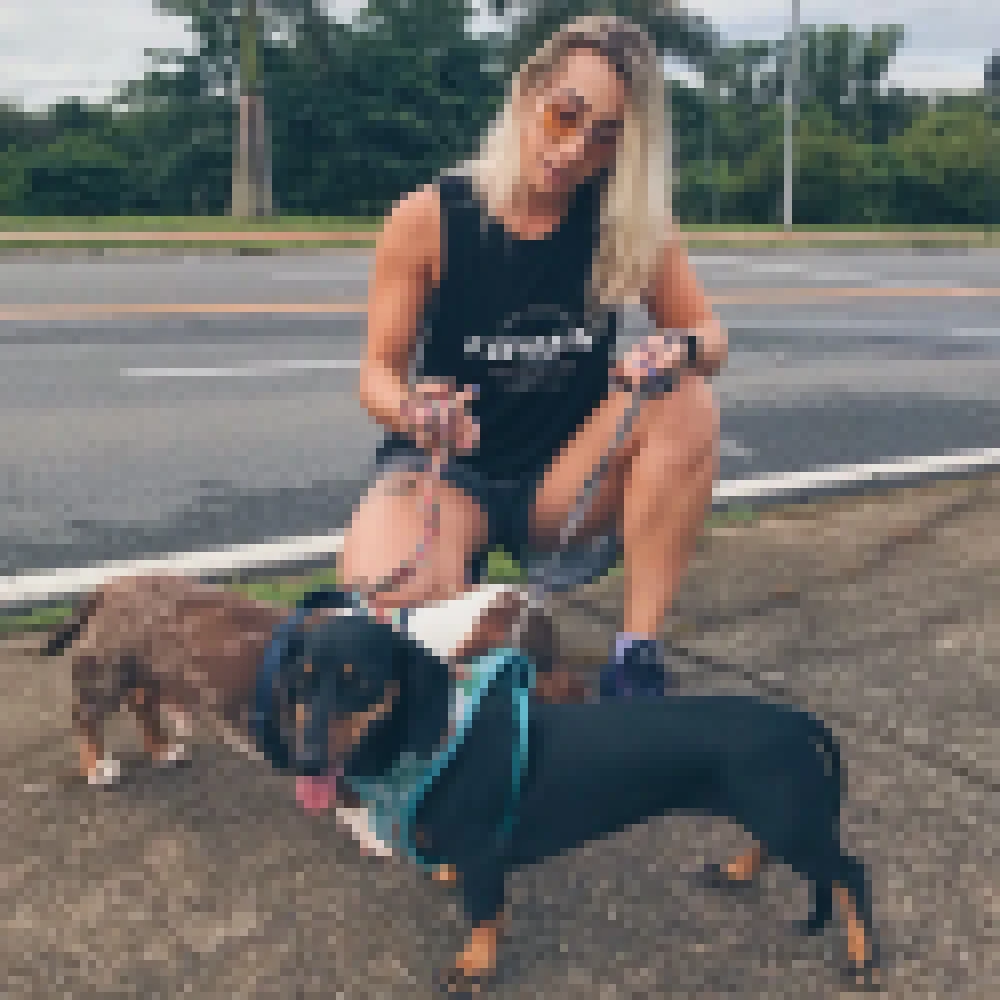 Shopping Cidade Sorocaba agora Ã© Pet Friendly