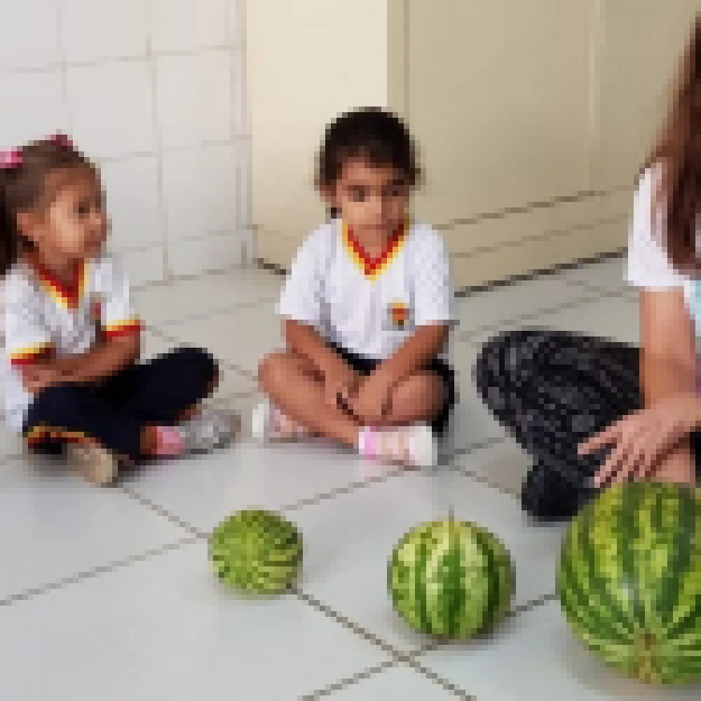 Estudantes do CEI-97 realizam atividade de plantio de melancias