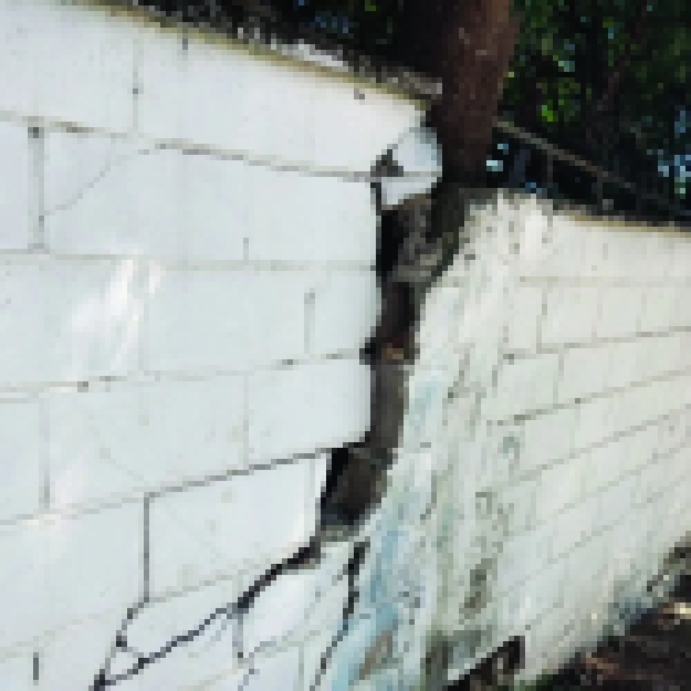 Escola fechada hÃ¡ mais de um ano gera reclamaÃ§Ãµes na Vila AngÃ©lica