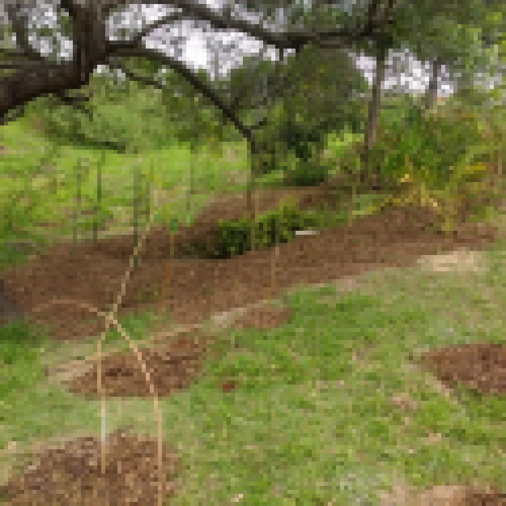 Nascente localizada na Ã¡rea urbana de Sorocaba ganha plantio de Ã¡rvores visando sua recuperaÃ§Ã£o