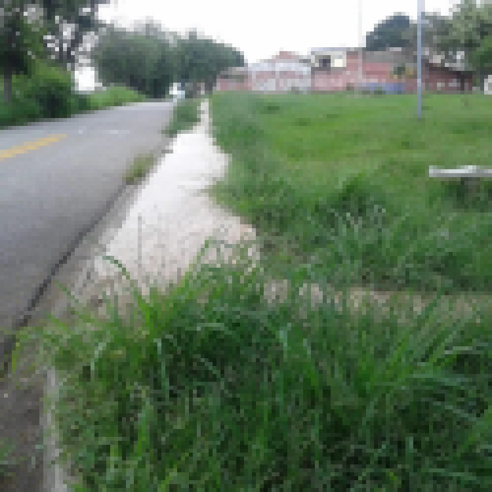 HÃ¡ trÃªs anos sem resposta da Prefeitura, morador resolve capinar mato das calÃ§adas por contra prÃ³pria na Zona Norte