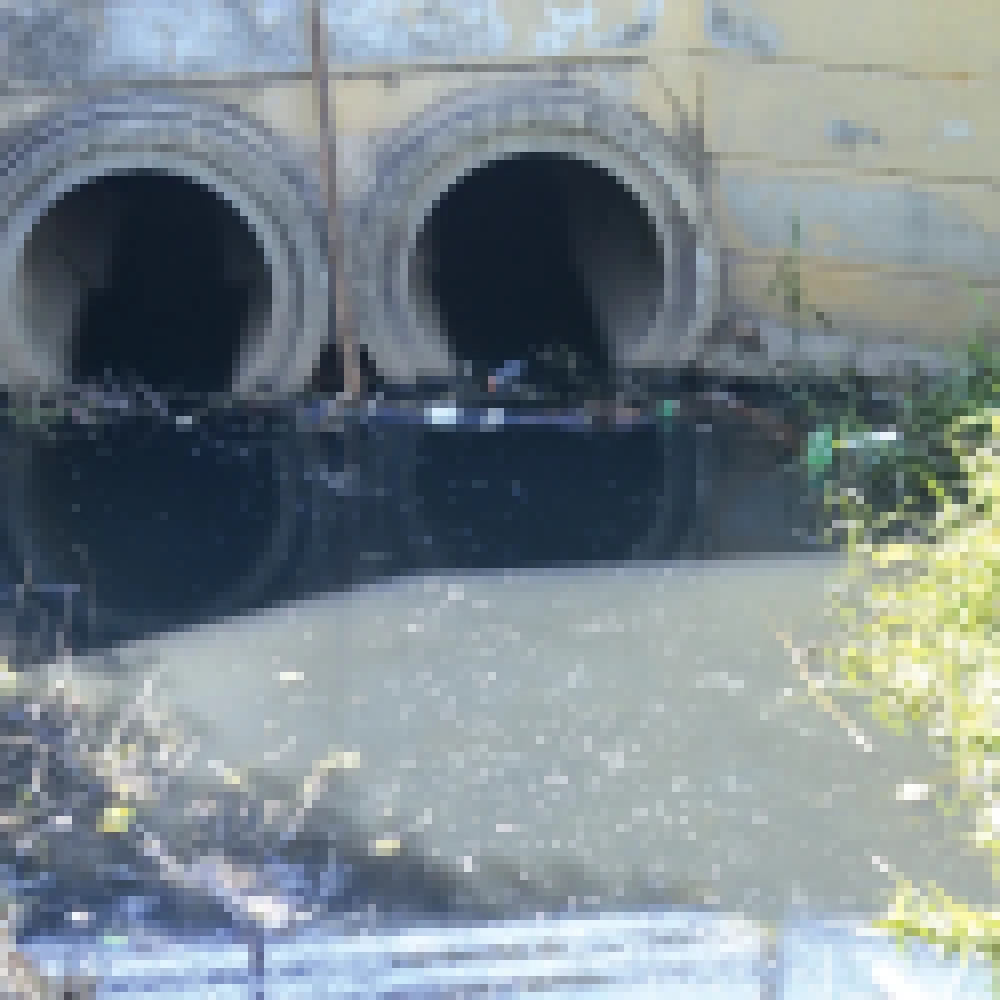 Vazamento de esgoto causa a morte de centenas de peixes no lago da Formosa e frequentadores do local se revoltam com a situaÃ§Ã£o