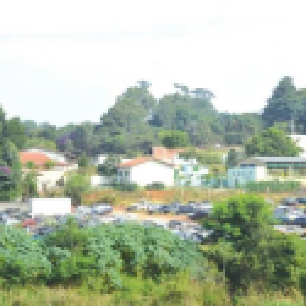 â€œCemitÃ©rioâ€� de carros preocupa moradores na Zona Norte como possÃ­vel local de proliferaÃ§Ã£o do aedes aegyptis