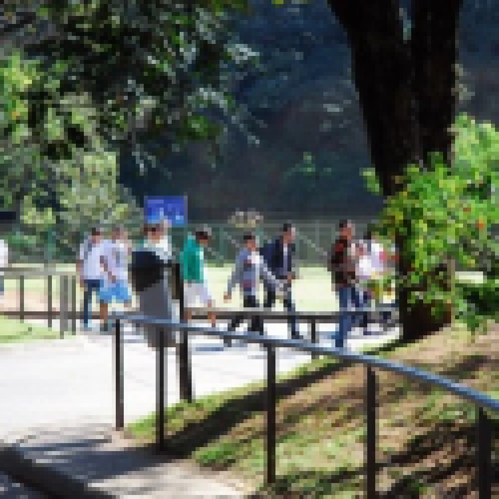 Campanha â€œMinha Amiga Ã© uma Antaâ€� foi lanÃ§ada no Zoo de Sorocaba