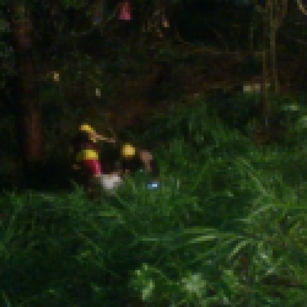 Bombeiros resgatam grÃ¡vida em cÃ³rrego na Avenida Ipanema