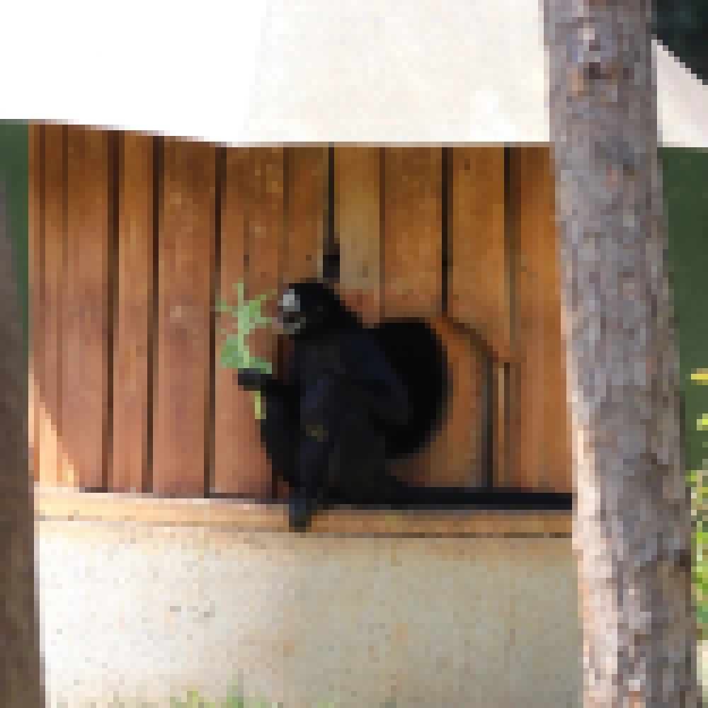 Prefeitura dÃ¡ inÃ­cio Ã  nova etapa de melhorias no ZoolÃ³gico Municipal de Sorocaba a partir de pintura externa e revitalizaÃ§Ã£o da fachada