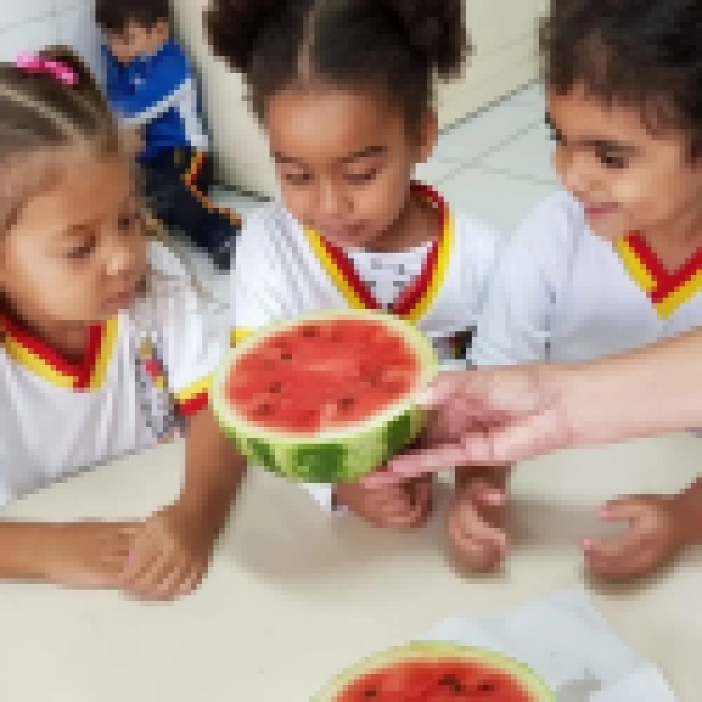 Estudantes do CEI-97 realizam atividade de plantio de melancias