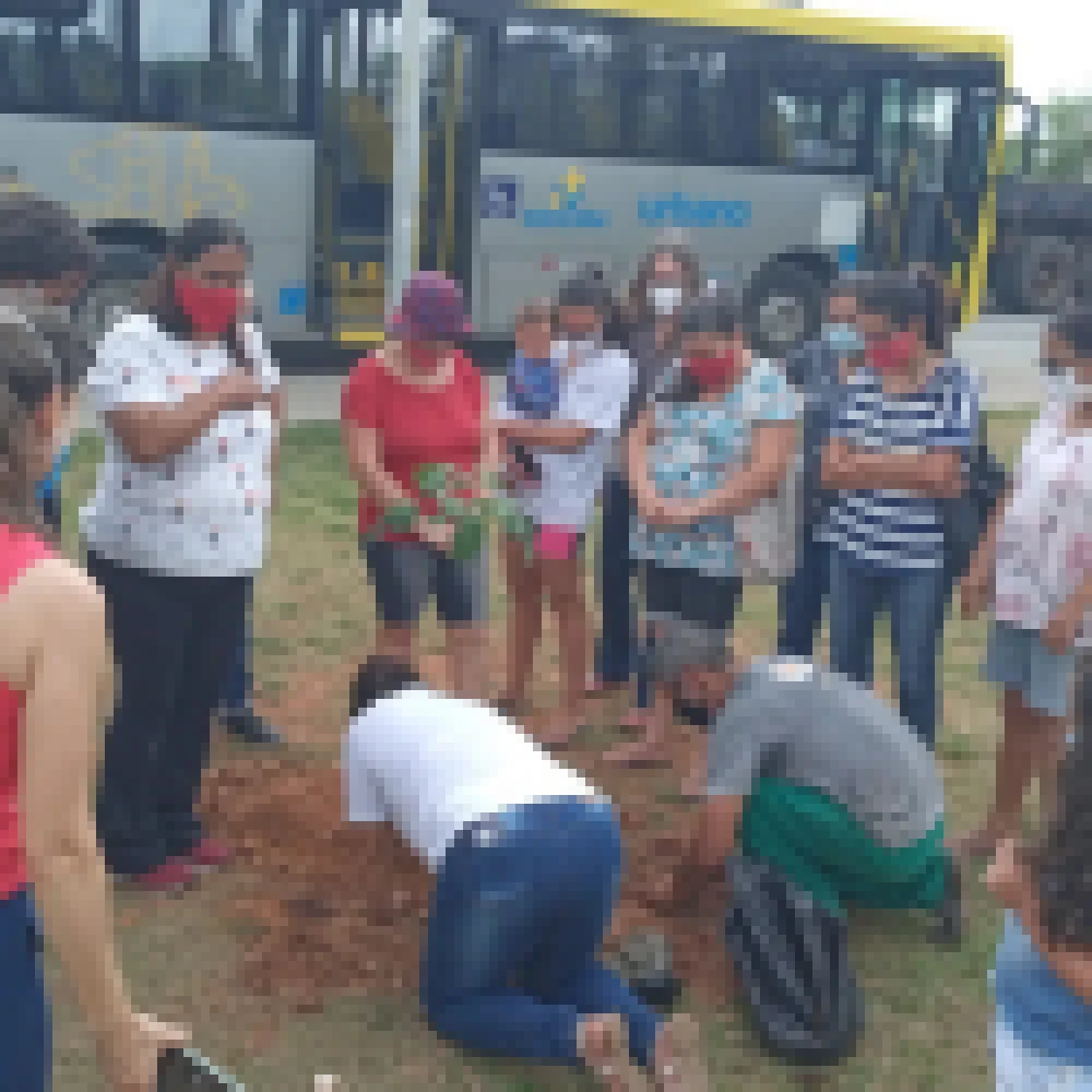 Projeto â€œMÃ£os na Terraâ€� promove plantio de Ã¡rvores em praÃ§a de Aparecidinha