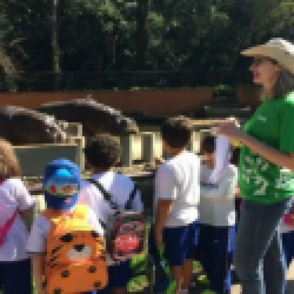 CrianÃ§as aprendem de forma divertida sobre os animais do Zoo