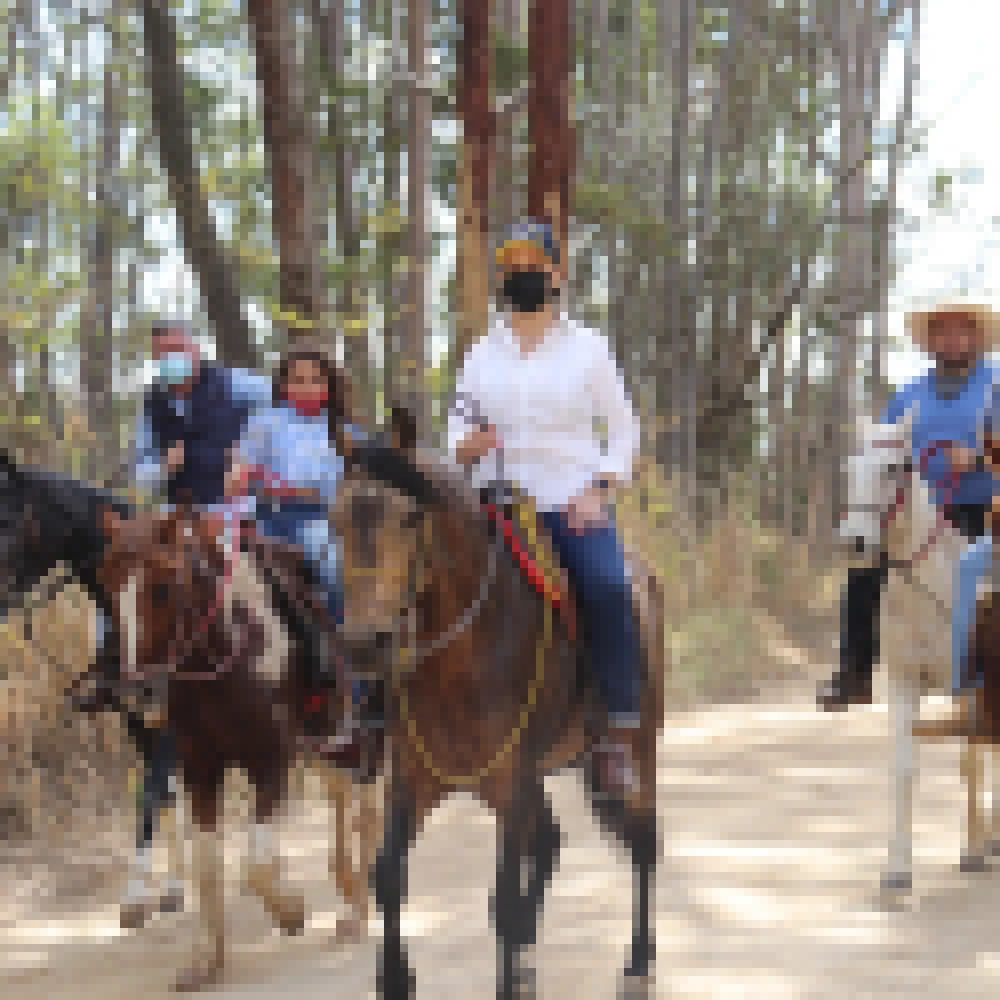 Prefeitura fomenta rota turÃ­stica â€œCaminhos da Marquesaâ€�