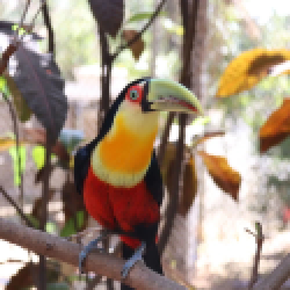 Prefeitura dÃ¡ inÃ­cio Ã  nova etapa de melhorias no ZoolÃ³gico Municipal de Sorocaba a partir de pintura externa e revitalizaÃ§Ã£o da fachada
