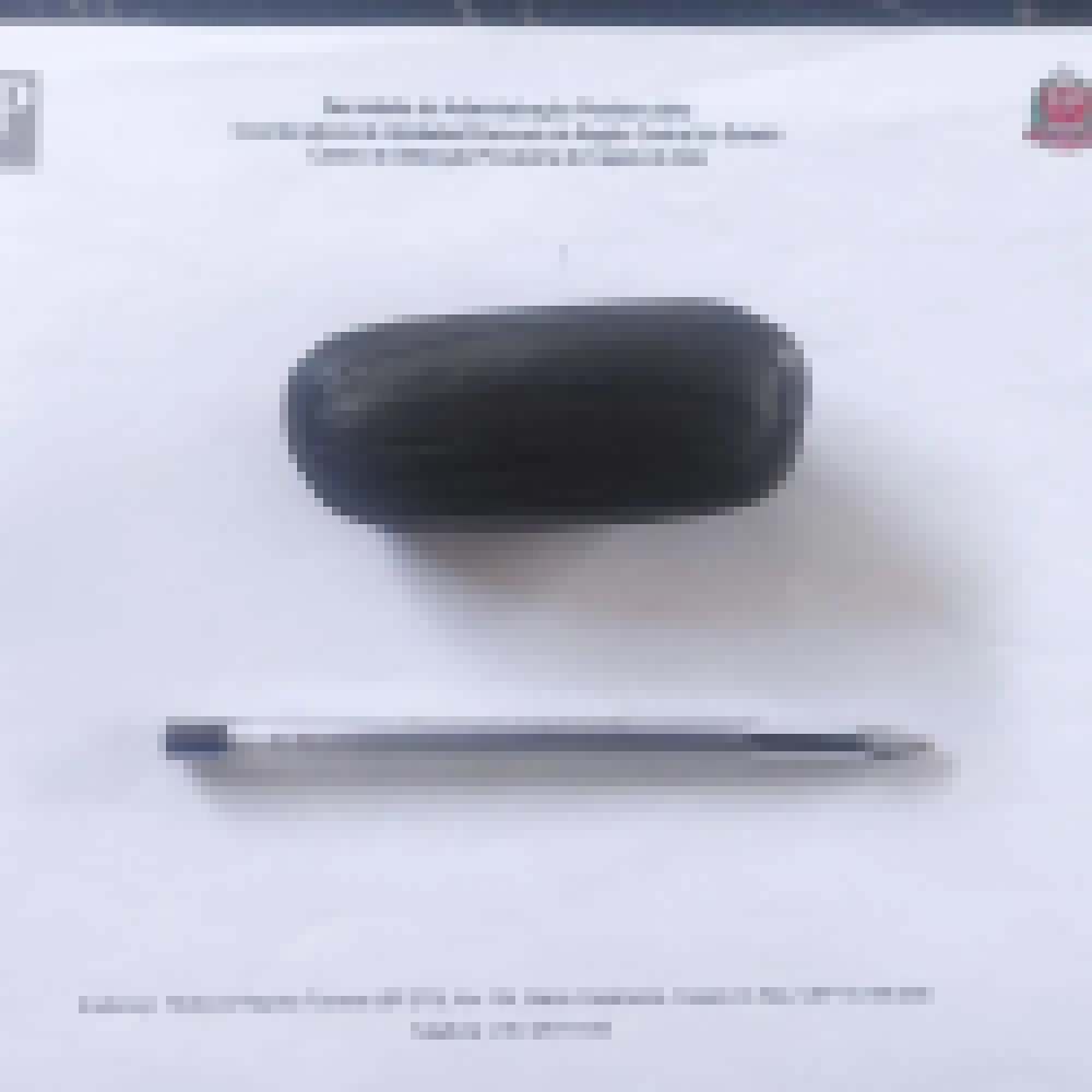 Mulher tentar entrar em CDP de Capela do Alto com microcelular