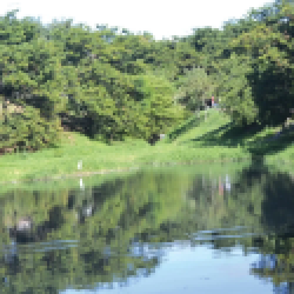 Vazamento de esgoto causa a morte de centenas de peixes no lago da Formosa e frequentadores do local se revoltam com a situaÃ§Ã£o