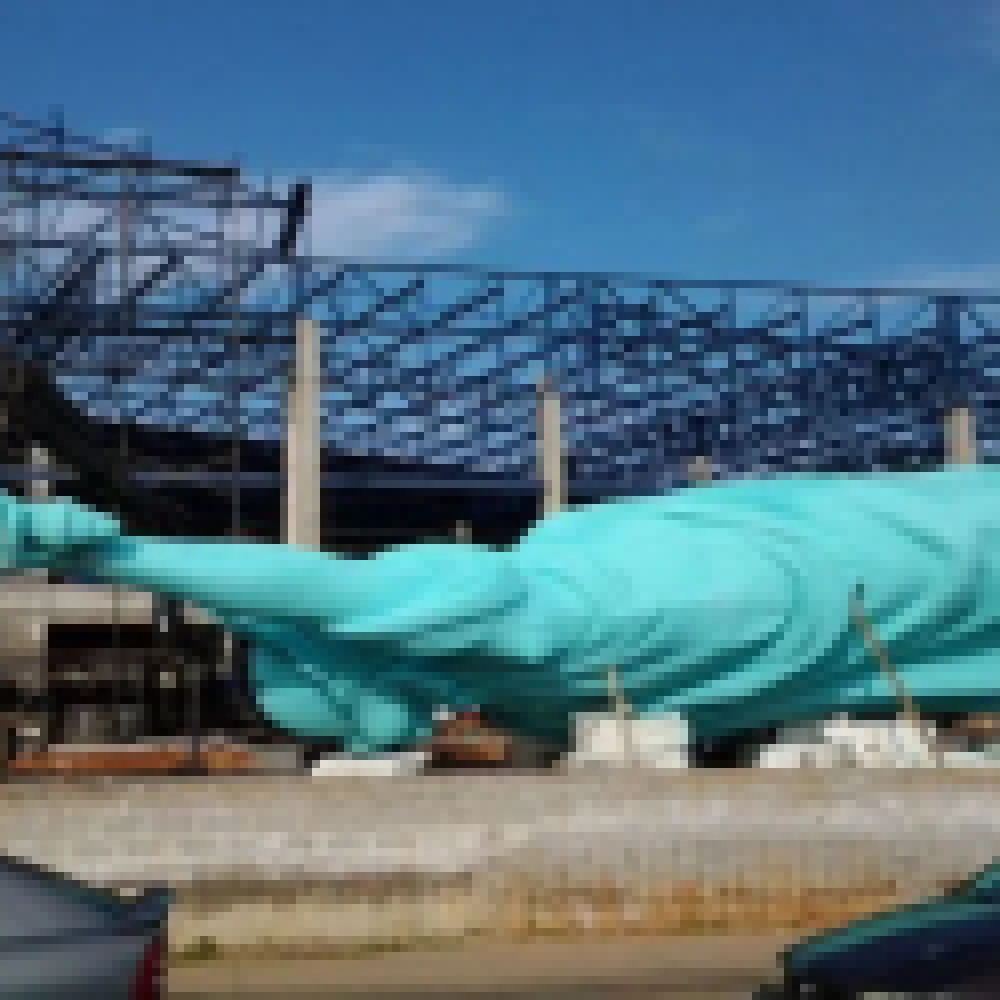 RÃ©plica da EstÃ¡tua da Liberdade chama a atenÃ§Ã£o na Zona Norte