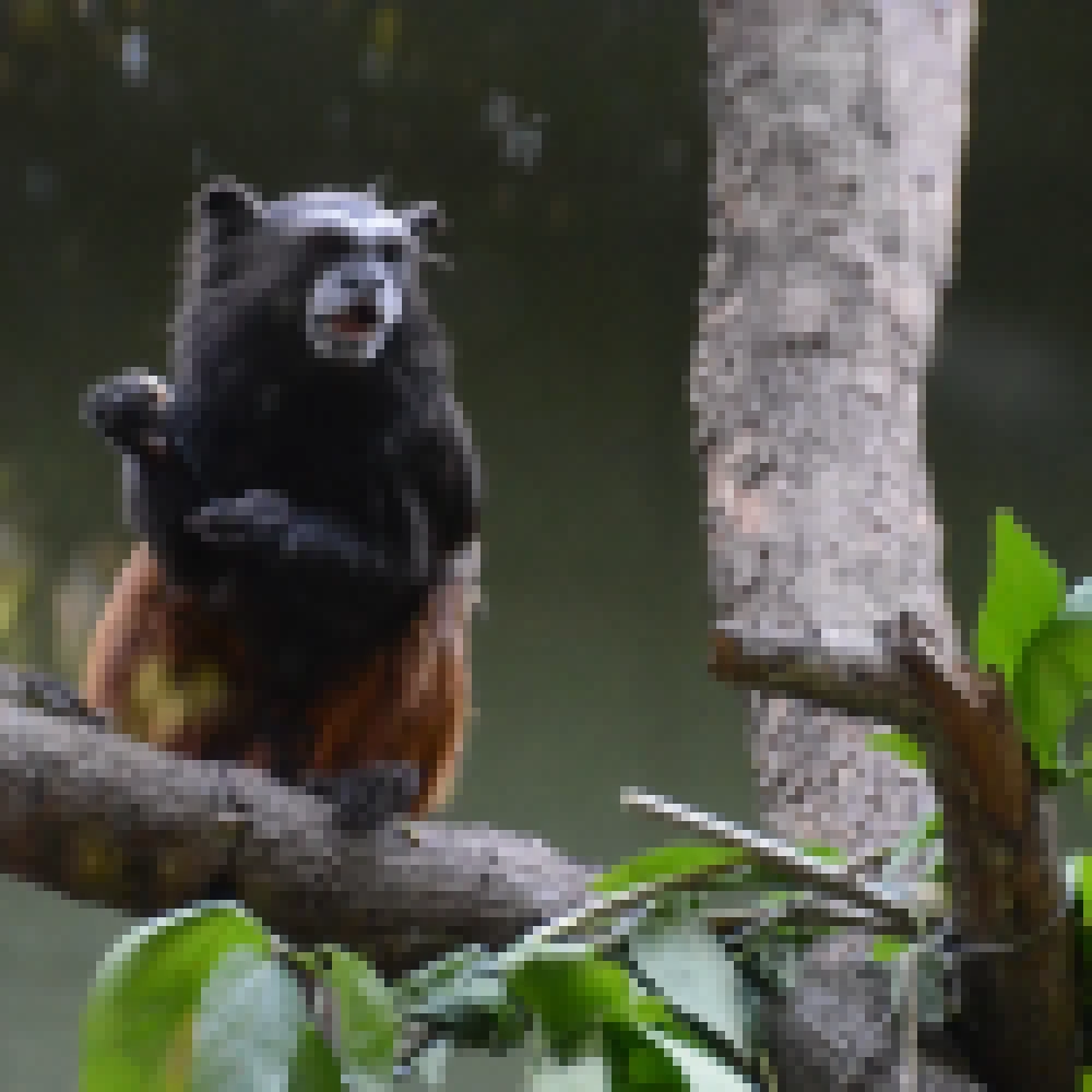 Zoo de Sorocaba tem entrada a R$ 4 neste fim de semana 3