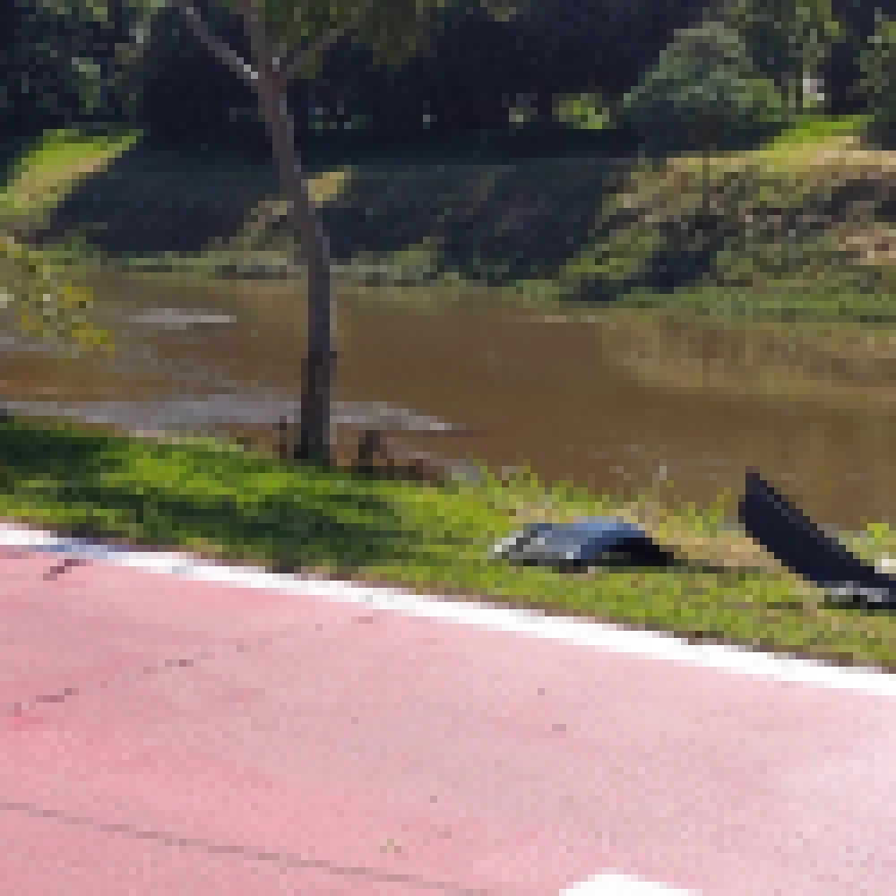 Atropelamento demonstra necessidade de manejo das capivaras
