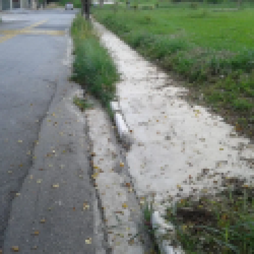 HÃ¡ trÃªs anos sem resposta da Prefeitura, morador resolve capinar mato das calÃ§adas por contra prÃ³pria na Zona Norte