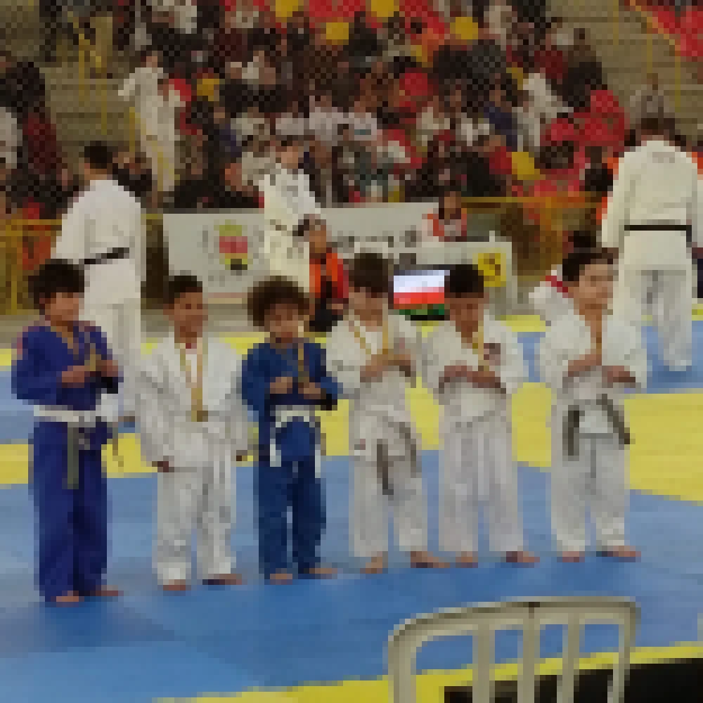 7Âª Copa de JudÃ´ â€œLaÃ­s Helena Rizzardoâ€� reÃºne cerca de 600 crianÃ§as e adolescentes na Arena Sorocaba no domingo (4)