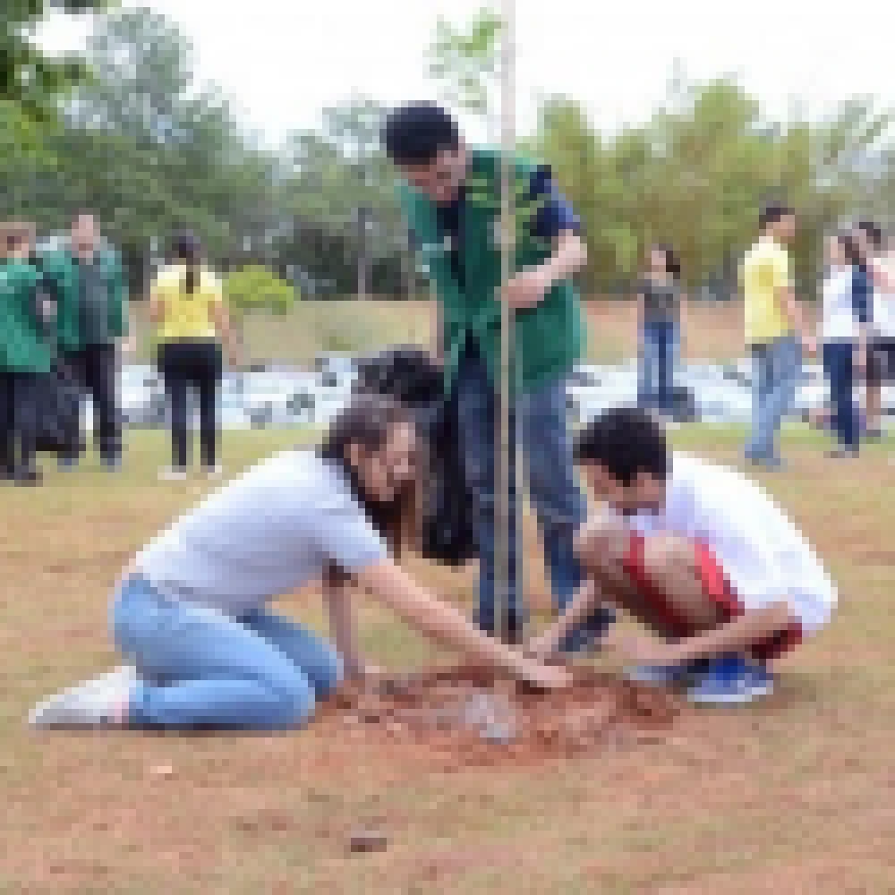 Nascente modelo do Parque Ouro Fino ganharÃ¡ 150 Ã¡rvores