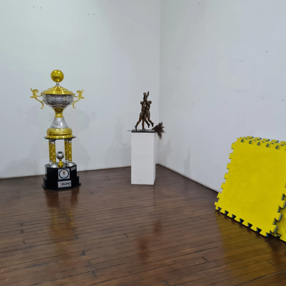 Museu dos Esportes: Os craques