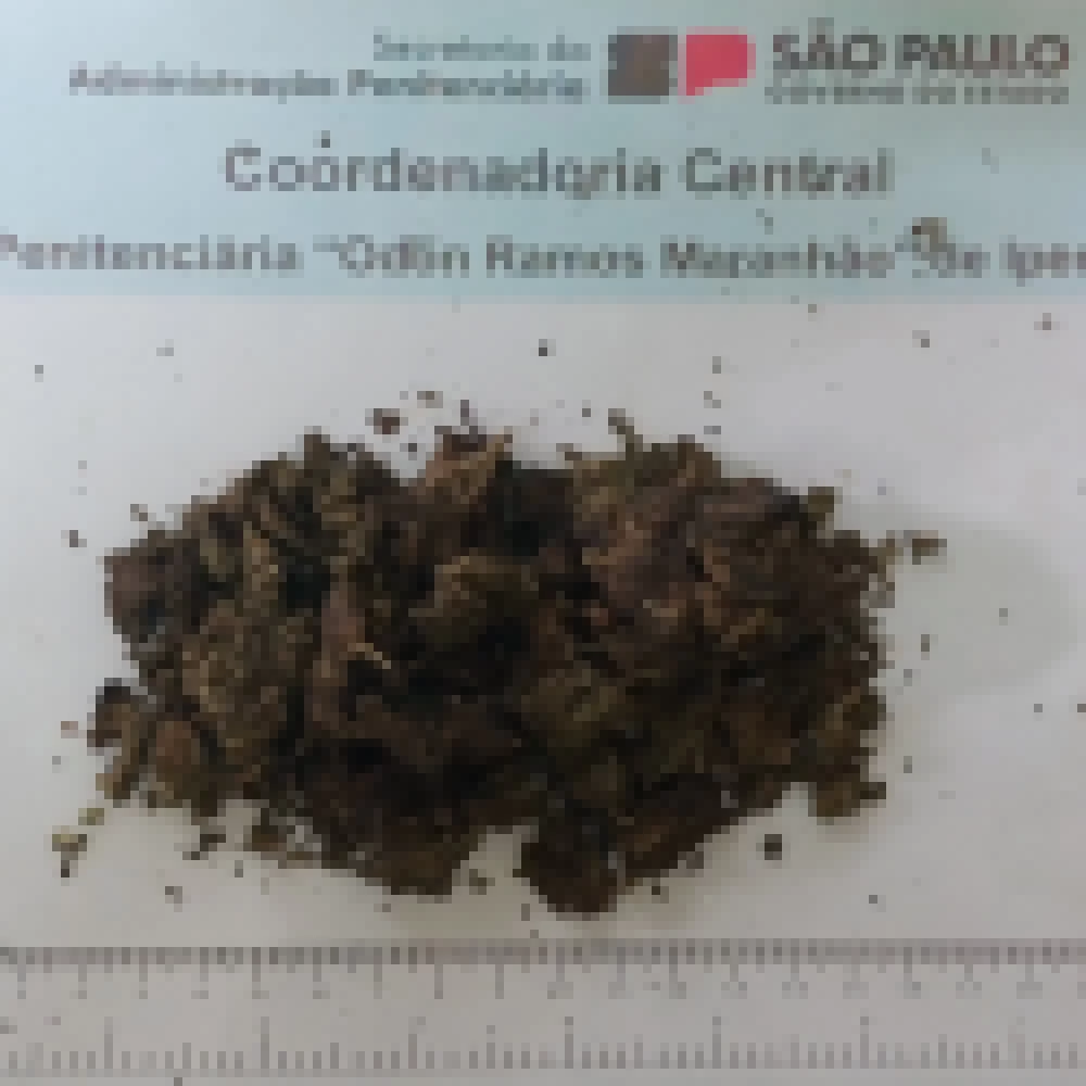 Apreensão 2 - Foto 3.jpg