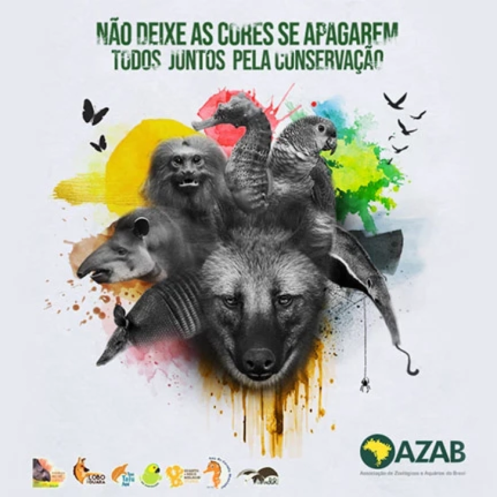 Inscrições para o ‘Animazoo Infantil’ começam na quinta-feira
