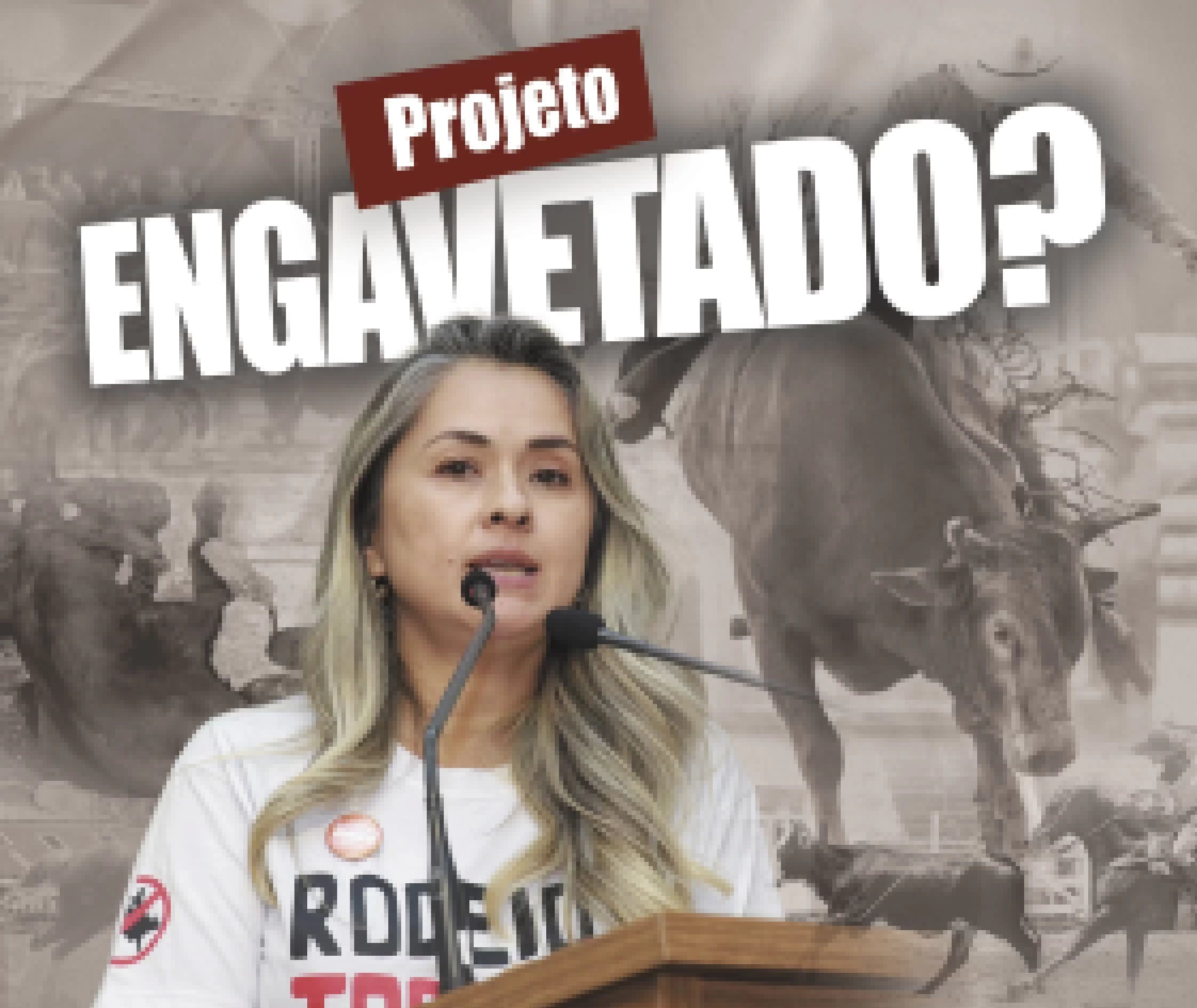 Projeto de lei que proíbe a realização de rodeios em Sorocaba está ‘engavetado’ a cinco meses pela presidência da Câmara