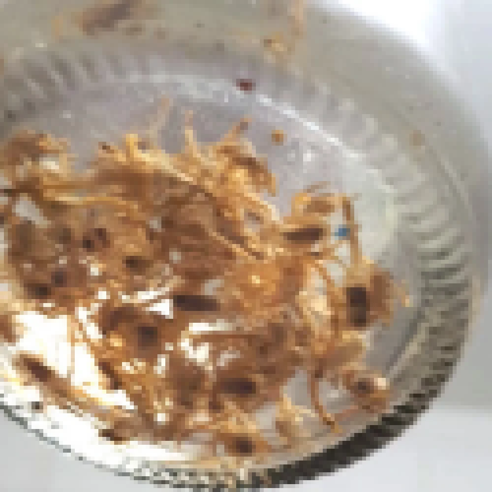 Morador encontra 69 escorpiões em sua casa no Wanel Ville 5