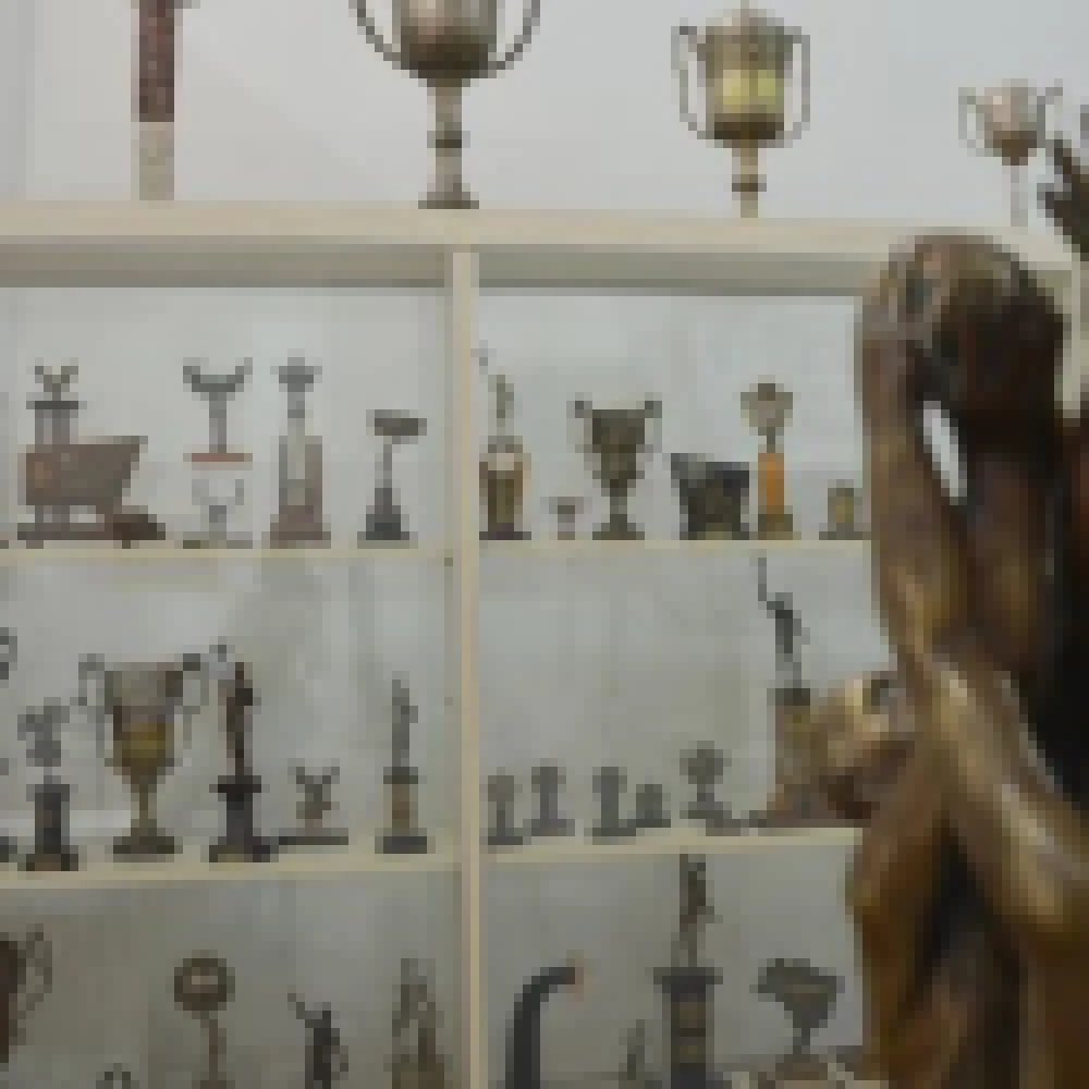 Museu dos Esportes completou um ano