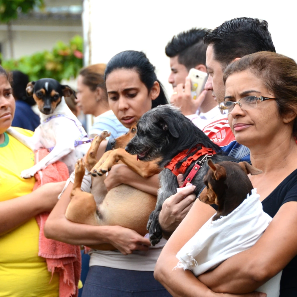 Mutirão de Castração abre inscrição para 16 bairros da Zona Norte