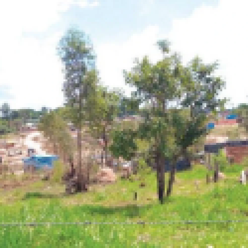 Ocupações irregulares preocupam moradores da região da Avenida Itavuvu