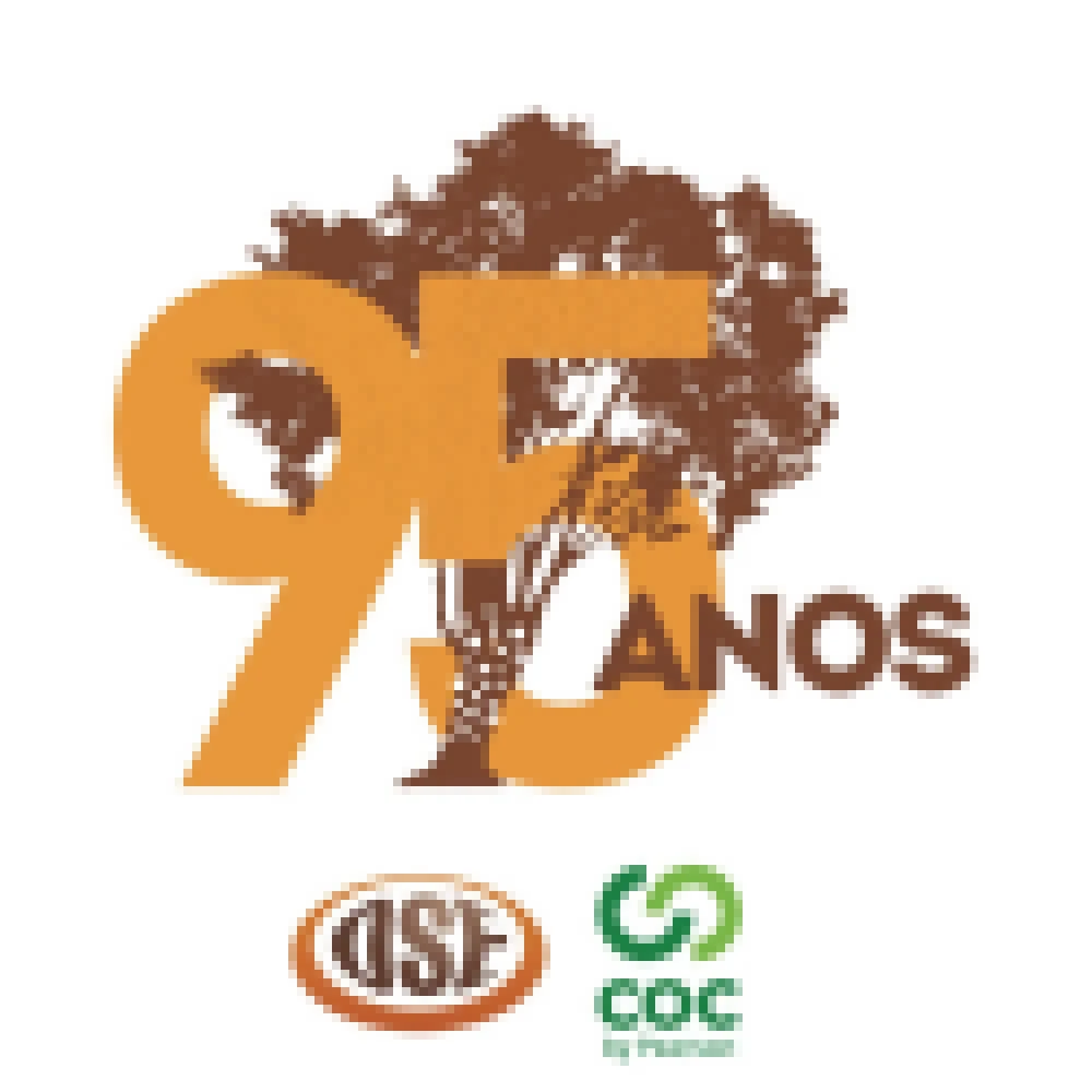 Organização Sorocabana de Ensino (OSE) completa 95 anos nesta terça-feira (22)