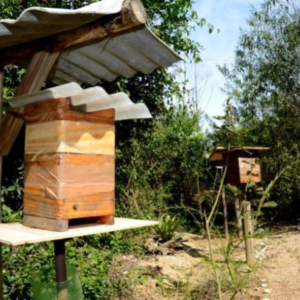 Parque da Biodiversidade tem novo horário de visitação