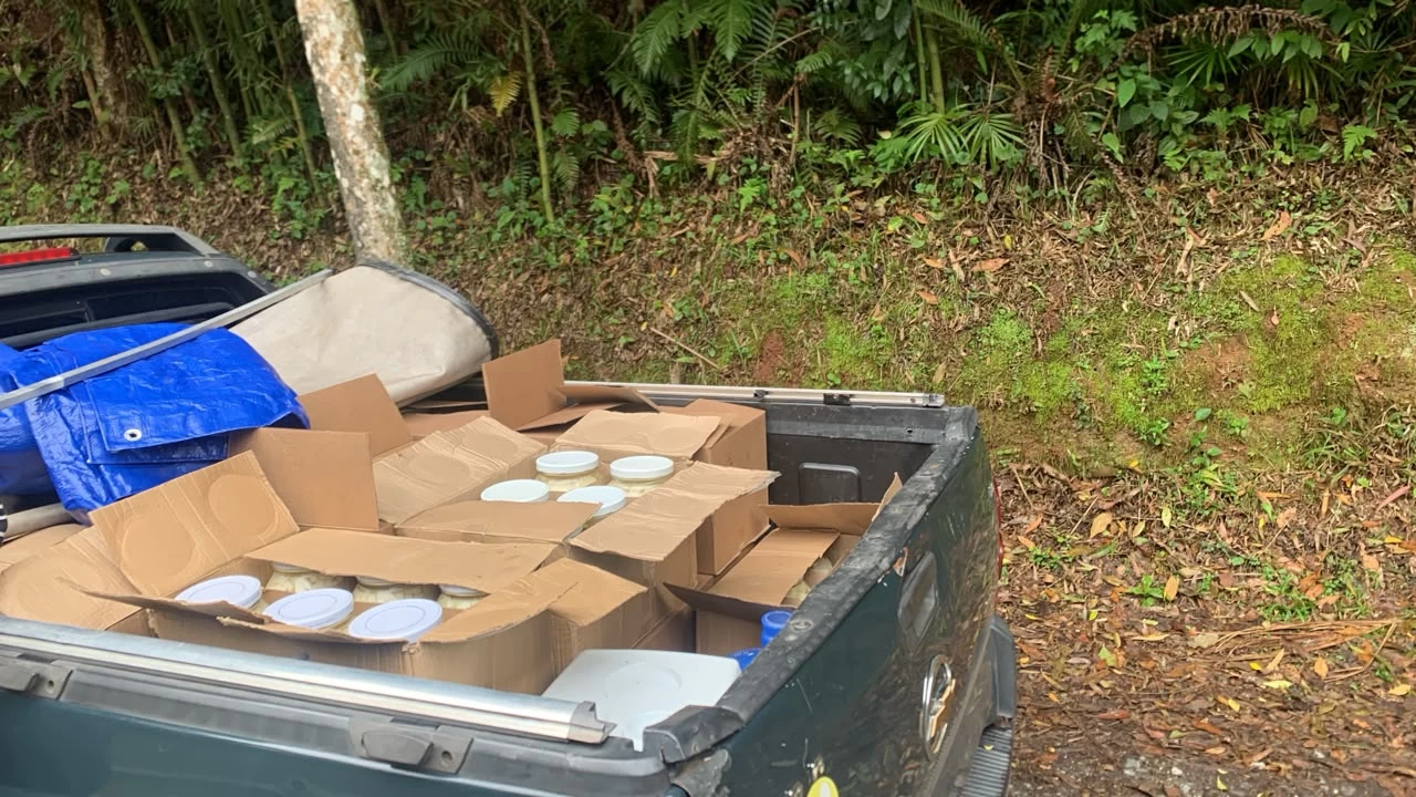 PM Ambiental apreende cerca de 162 kg de palmito sem nota fiscal em São Miguel Arcanjo