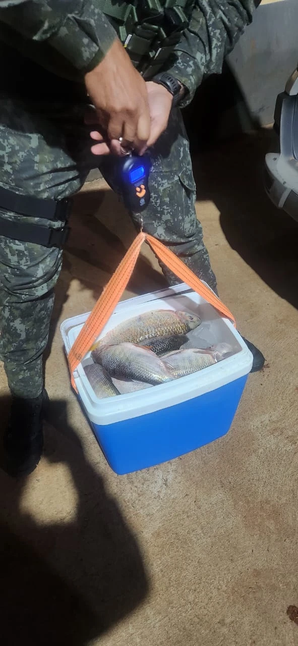 Polícia Militar Ambiental apreende mais de 26 kg de peixes e redes proibidas em Cerquilho