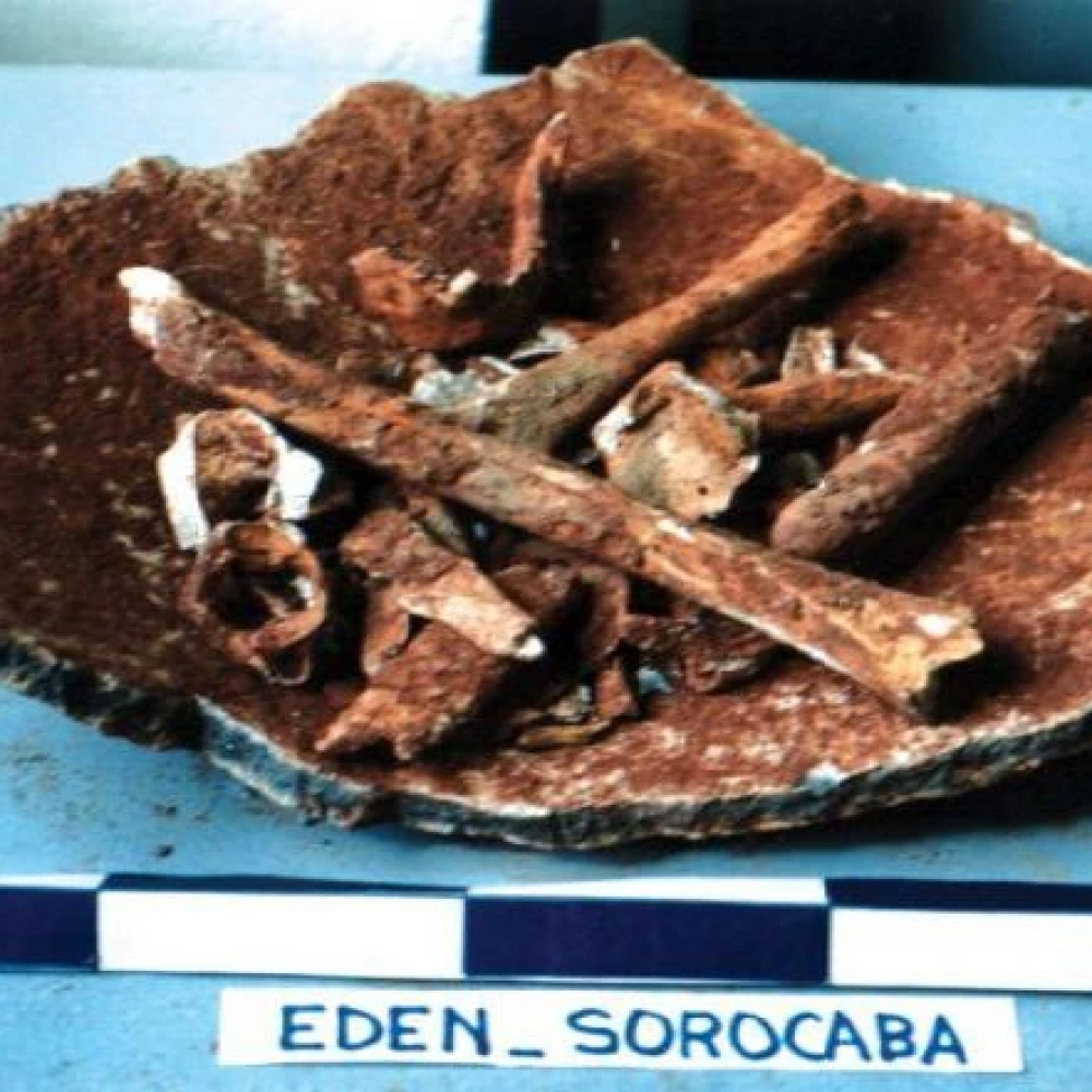 População desconhece histórico indígena de Sorocaba
