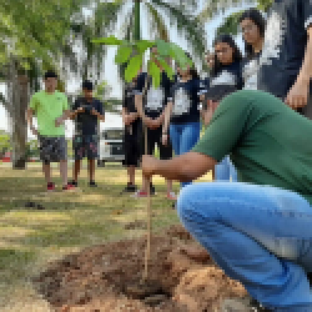 Praça da Amizade ganha 52 árvores em ação com alunos de escola estadual
